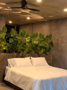 Santuario Luxury Eco Hotel