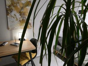 Apartament Tirana Contact