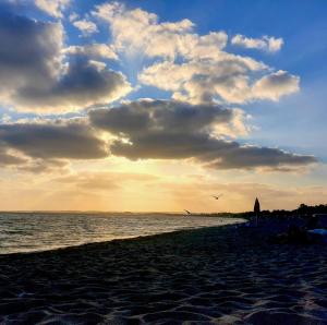 The Yellow House IUN P3446 img14