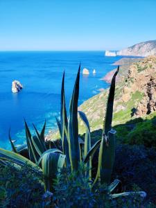 Il Miraggio Tanca Piras