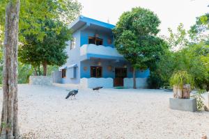 ecochic casas el jabali