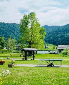 SeeHotel & SeeApartments Kärntnerhof- direkt am See!