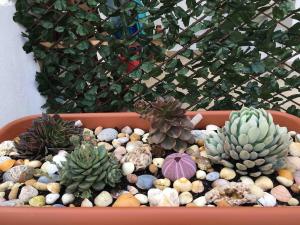 Sunflowers house cozy old town house