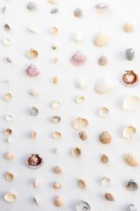 Sunflowers house cozy old town house