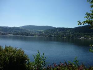 Chalet 3 étoiles proche Gérardmer sur grand terrain clos