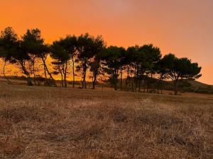 Agriturismo Sa Perda Marcada