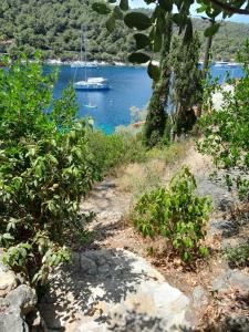 A tiny sea home in the wilderness
