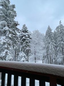 Apartment on the ski slope Pohorje 11