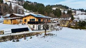 Alpenchalet zurHinterochsenweide SKI IN & SKI OUT