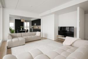 Glorious and luxurious loft apartm. in city center