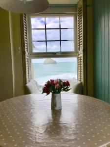 Praxis Trebarwith Strand