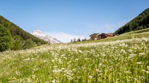 Unterlutaschg-Chalet Appartement am Hof