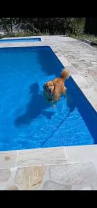 Pousada Paraíso Guapi