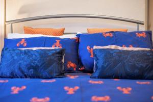 Spacious and Central city apartment