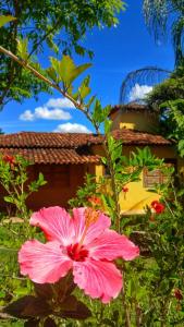 Casa Luz