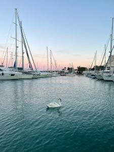 Appartement tout équipé & lumineux - Jardin terrasse et parking privé
