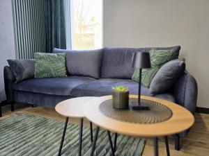 Apartament Zielony Loft Kudowa Zdrój