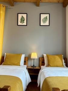 Maya Pokoje i Apartamenty