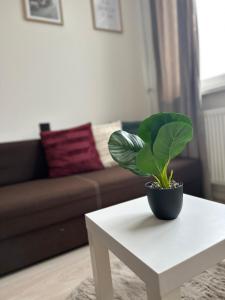 Stylish apartment right in the heart of Košice