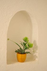 Dar al mardi fes luxury