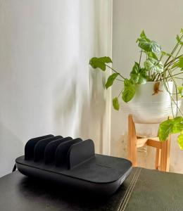 Lovely & Lightful Studio with pool