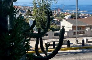 Casa Living Valparaiso