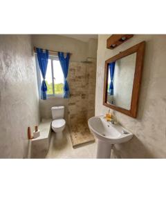 Its Iswana living Diani