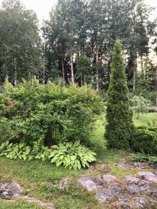 Studio R - Private entrance