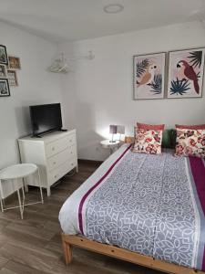 Yellow Lisbon Studio