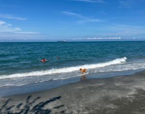 Oasis - inmueble boutique pozos colorados