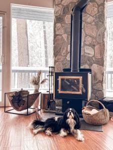 Wildland Aerie at Treehaus with Creekside Hot Tub Pets OK