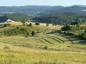 Bratosavina North House