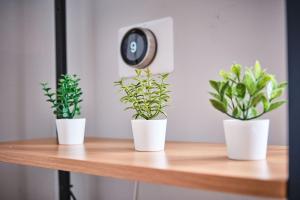 Chic Apt in the Heart of Portrush - Princess Green 2