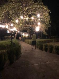 Beachfront Retreat at Playa Bejuco