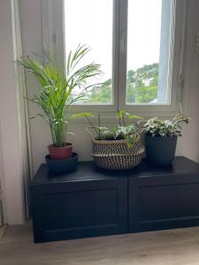 House of grace, charmante maison familiale proche de Rouen