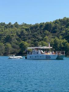 Villa BOTIĆ