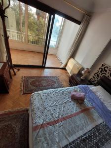 Cozy Queen bed room in zamalek with garden view and balcony