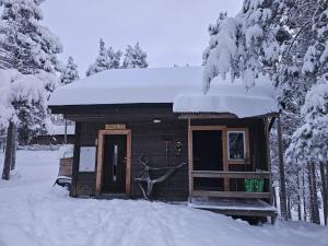 The Lakeview Cabin