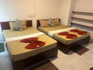 Lilly Rooms