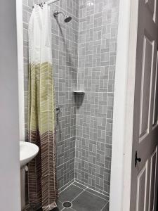 Casa Santa Rosa Galeria