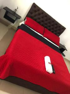 HOTEL DEL MINERO Otanche