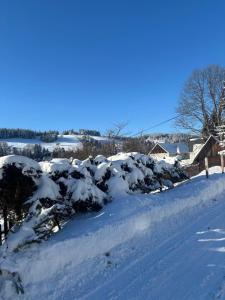 Samostatný apartmán se zahradou