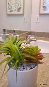 Asteria at Emerald Island