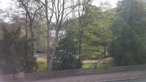 Ferienwohnung Villa Seyfried