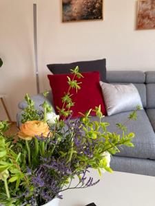 Ferienwohnungen bei der Purpurbuche