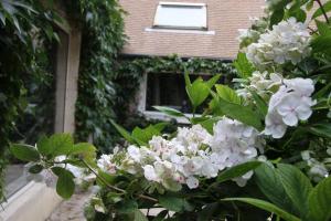 B&B / Chambres d'hotes L'Hibernie : photos des chambres