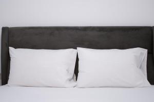 Central Nest near Acropolis