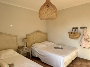 La Colline des Maures