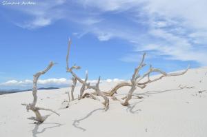 Agriturismo Is Solinas img97