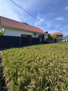 Ambara villa ubud 2 BR